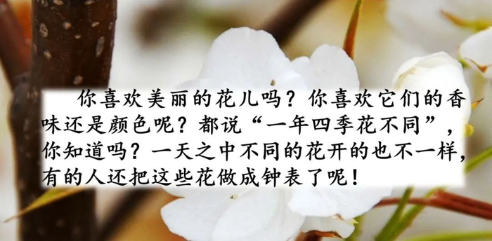【微课堂】统编语文三年级下册第13课《花钟》图文解读+教学视频+知识点+同步练习