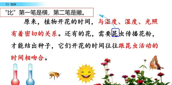 【微课堂】统编语文三年级下册第13课《花钟》图文解读+教学视频+知识点+同步练习