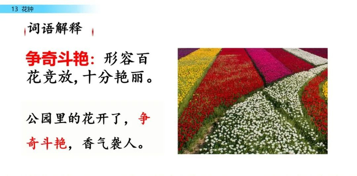 【微课堂】统编语文三年级下册第13课《花钟》图文解读+教学视频+知识点+同步练习