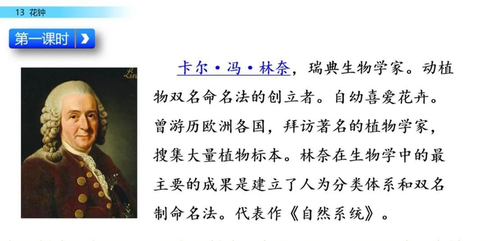 【微课堂】统编语文三年级下册第13课《花钟》图文解读+教学视频+知识点+同步练习