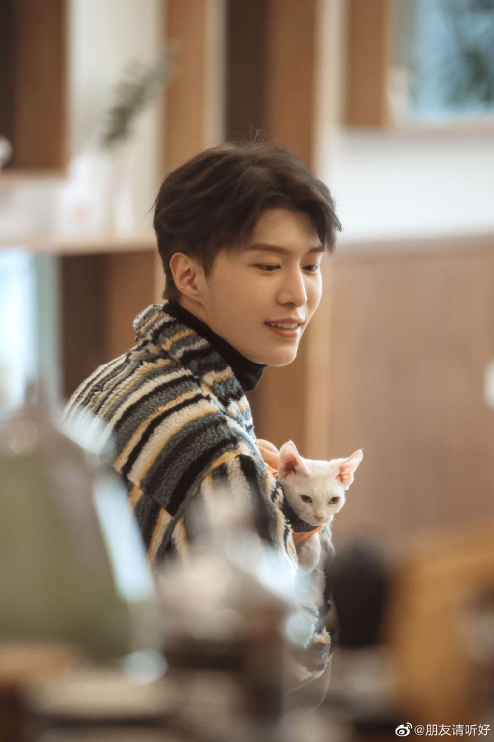 易烊千玺和范丞丞与节目中的猫。图片来自网络