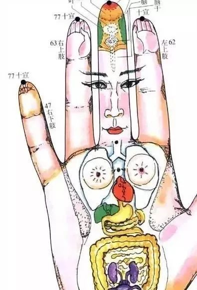 背诊| 手诊 | 面诊 | 眼诊 | 嘴诊 |（值得收藏）