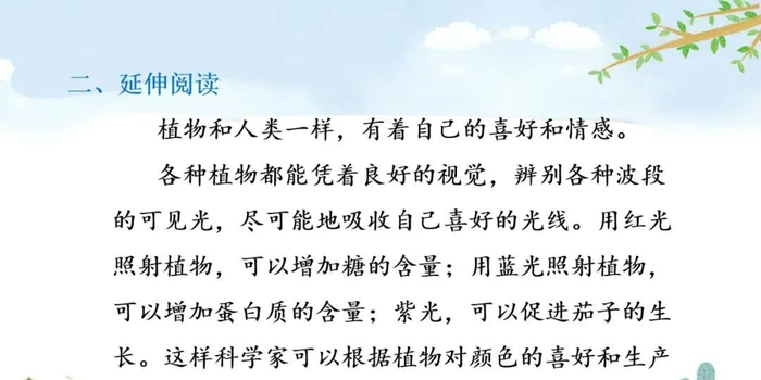 【微课堂】统编语文三年级下册第13课《花钟》图文解读+教学视频+知识点+同步练习