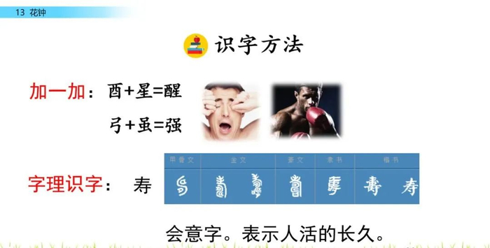 【微课堂】统编语文三年级下册第13课《花钟》图文解读+教学视频+知识点+同步练习