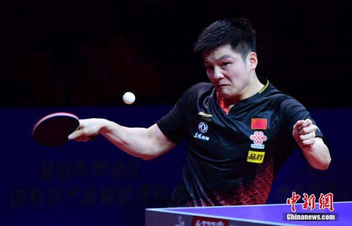 资料图：樊振东在比赛中。中新社记者 陈文 摄