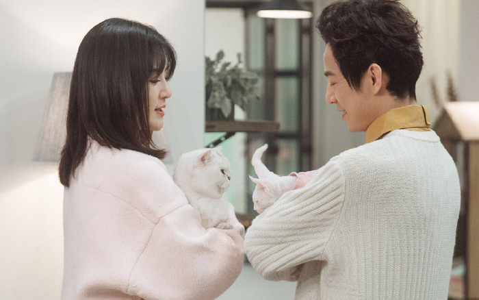 节目中何炅、谢娜抱着两只猫。图片来自网络