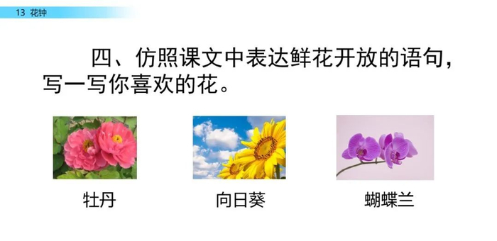 【微课堂】统编语文三年级下册第13课《花钟》图文解读+教学视频+知识点+同步练习
