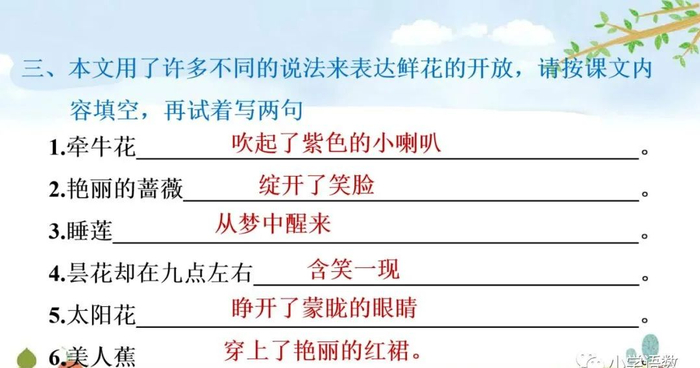 【微课堂】统编语文三年级下册第13课《花钟》图文解读+教学视频+知识点+同步练习