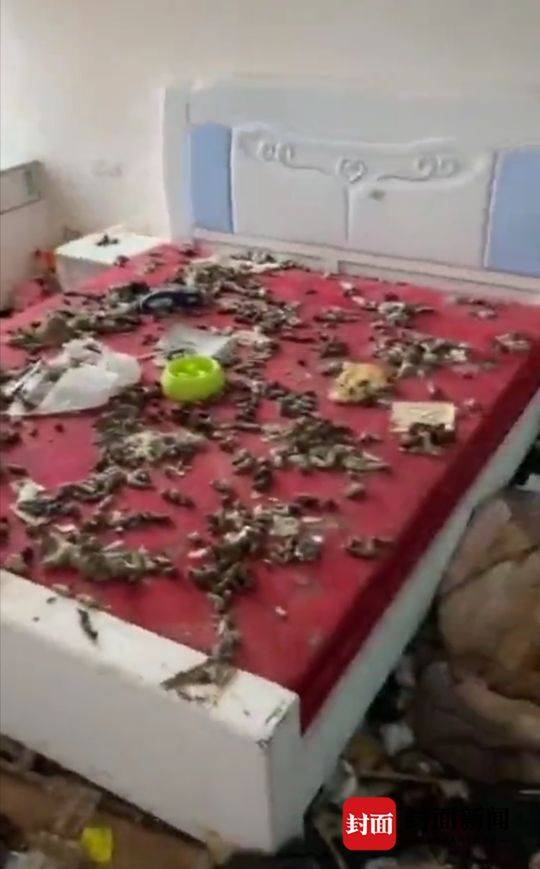  床上也是粪便