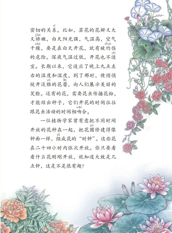 【微课堂】统编语文三年级下册第13课《花钟》图文解读+教学视频+知识点+同步练习