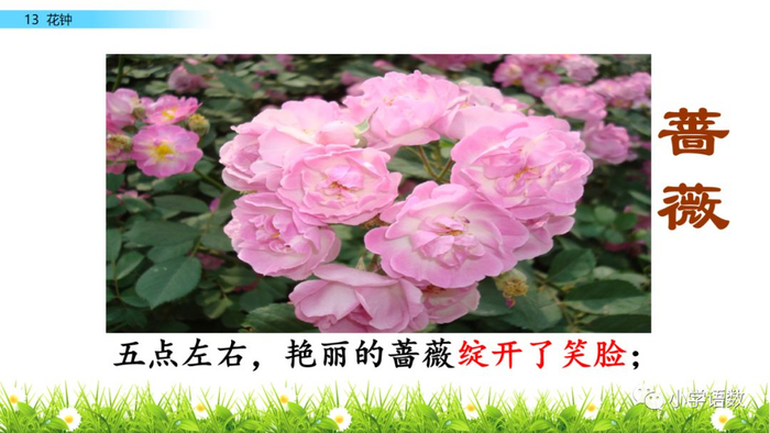 【微课堂】统编语文三年级下册第13课《花钟》图文解读+教学视频+知识点+同步练习