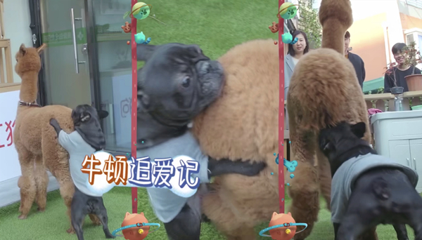 这画面……咳咳