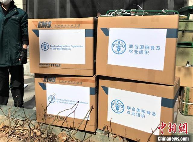 联合国粮农组织向中国捐赠医疗物资以支持新冠肺炎防控工作