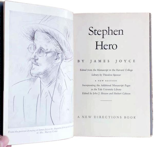 《英雄史蒂芬》