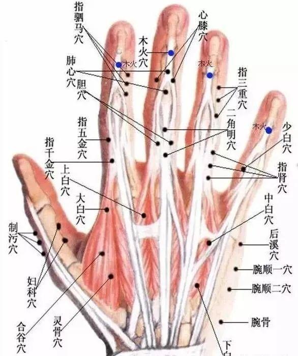 董氏奇穴-经典68穴（收藏起来）