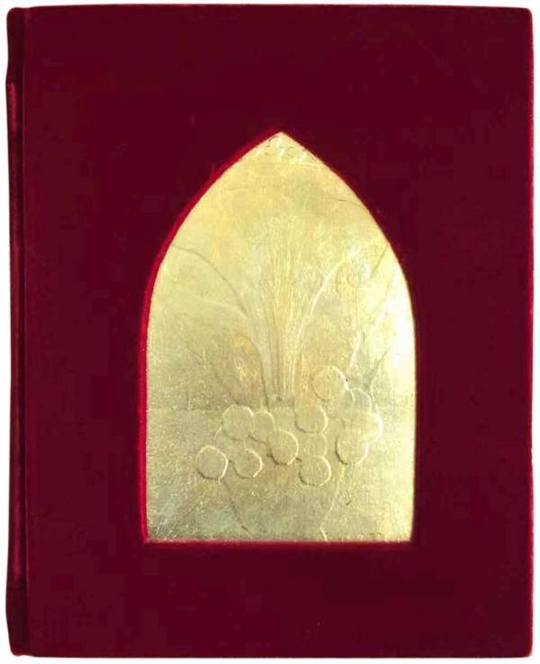 《狐狸与葡萄》封面