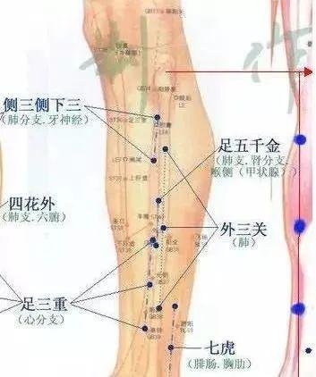 董氏奇穴-经典68穴（收藏起来）