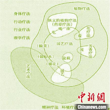 园艺疗法图示(李树华《园艺疗法概论》)。供图