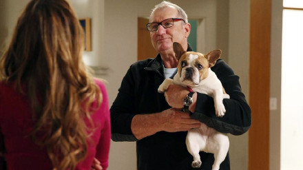 《摩登家庭》Stella剧照。图片来自网络