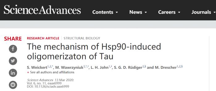 Sci Adv新发现：聪明的分子伴侣Hsp90阻止阿尔兹海默症核心病变的进展，有妙招！