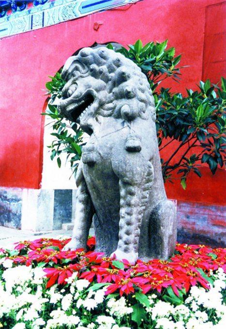 您知道北京最早的古狮是哪个朝代的吗？悬掌铜狮因何最特殊？