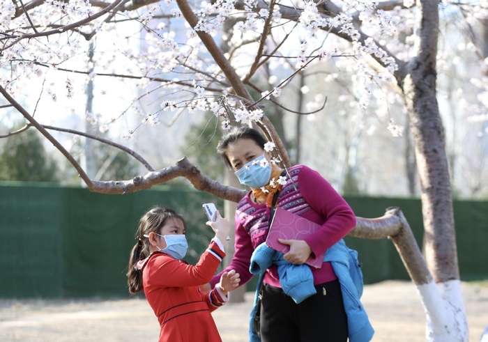 游人在丰台区莲花池公园赏花。（中国日报记者 邹红 摄）