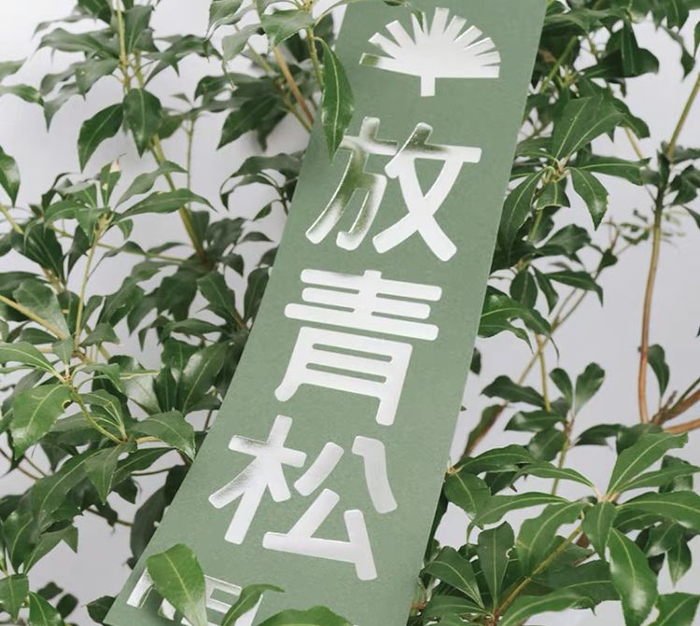 一盆放青松到底有多少意义,淘宝成了新梗诞生地_新浪新闻