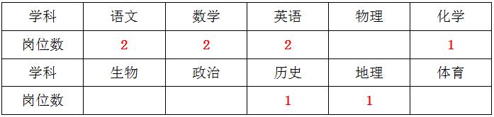 2020上海外国语大学闵行外国语中学教师招聘9人公告