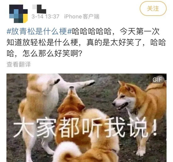 一盆放青松到底有多少意义,淘宝成了新梗诞生地_新浪新闻
