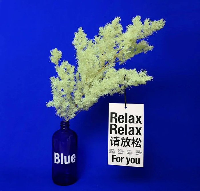 一盆放青松到底有多少意义,淘宝成了新梗诞生地_新浪新闻