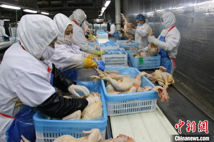 复工员工正在对鸡肉产品进行包装。　孙亭文 摄