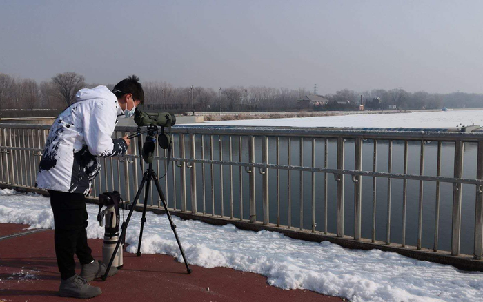 野鸭湖监测人员加强候鸟观测。北京市园林绿化局供图