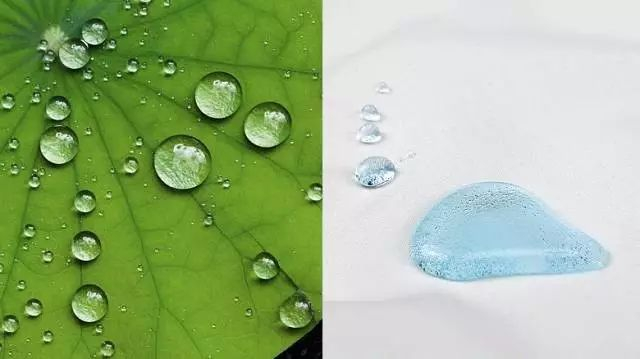 ▲左：荷叶效果 右：实际效果