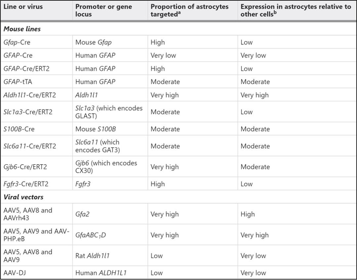 Nature Reviews Neurosci：星形胶质细胞研究手段的最全总结！