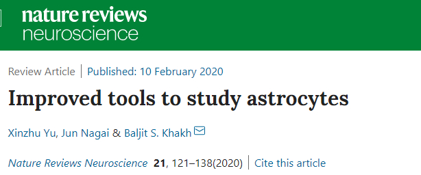 Nature Reviews Neurosci：星形胶质细胞研究手段的最全总结！
