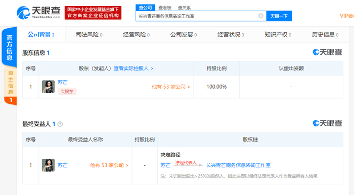 天眼查   截屏图
