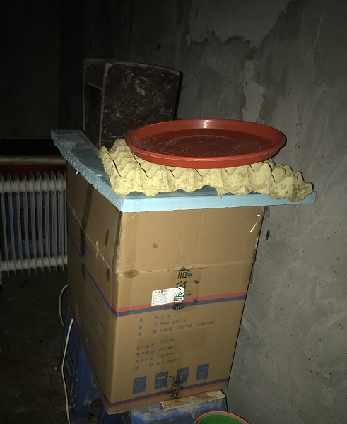 图说：小屋里堆放着纸板箱 来源：采访对象供图（下同）