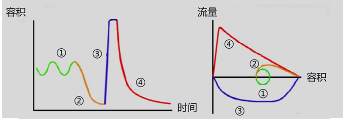 检查肺部什么仪器好呼吸科基本功丨肺通气功能检查方法_新闻资讯_第7张_活检穿刺产品网 检查肺部什么仪器好呼吸科基本功丨肺通气功能检查方法_https://www.jmylbn.com_新闻资讯_第7张