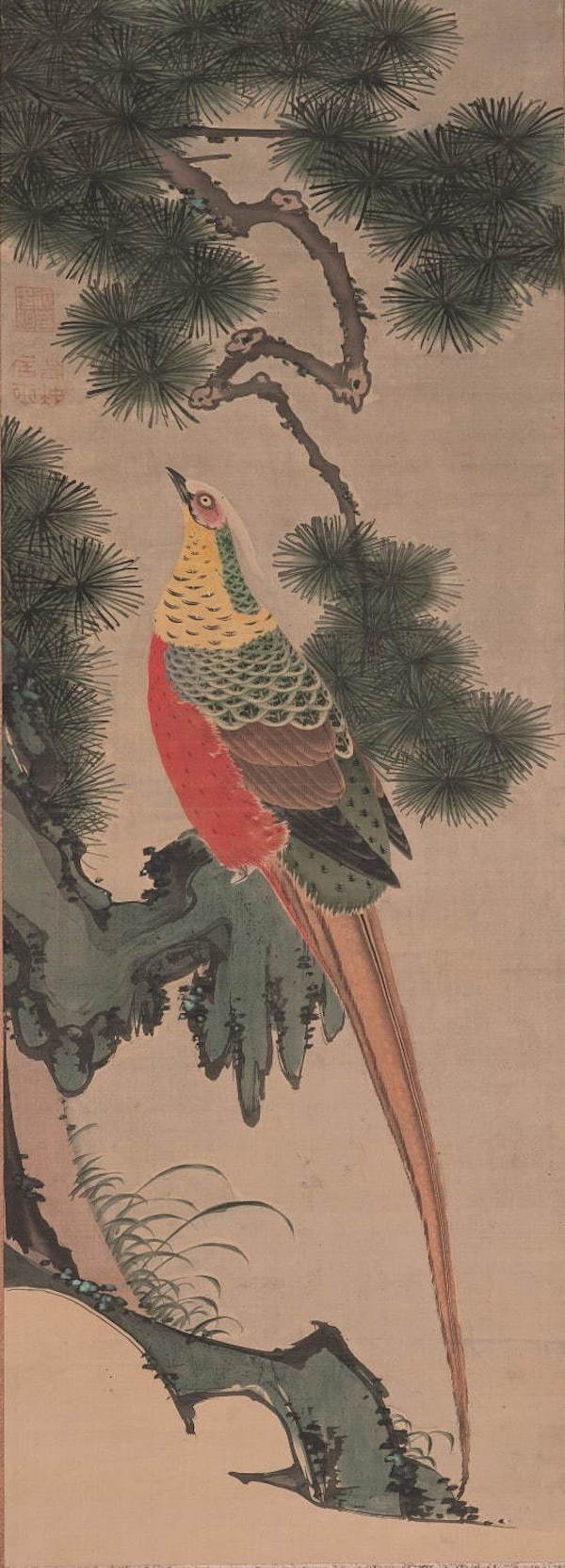 伊藤若冲，《鸟禽图》（局部），江户时代，滋贺县立琵琶湖文化馆藏