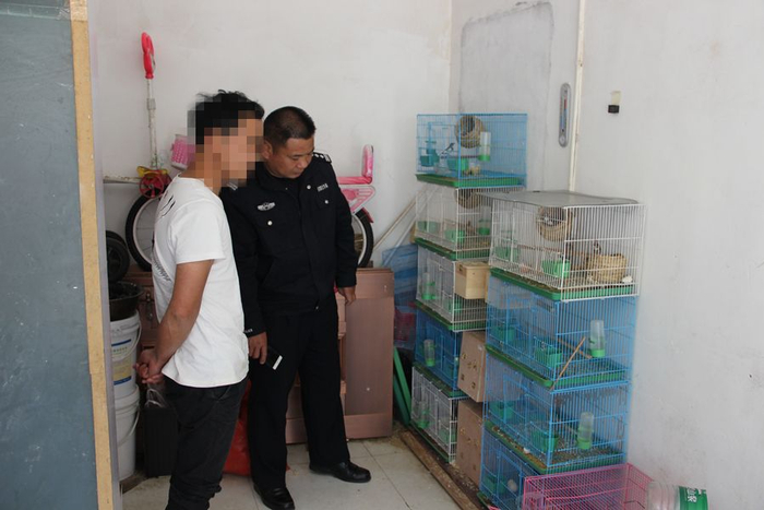 廖某某家中搜出濒危鹦鹉。森林公安供图