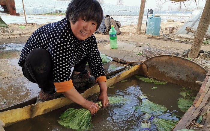 侯春风夫妻俩开始洗菜。新京报记者 王颖 摄