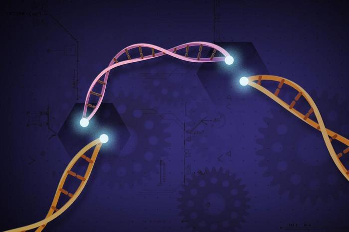 基因编辑技术新突破！科学家可以一次编辑多个基因组片段
