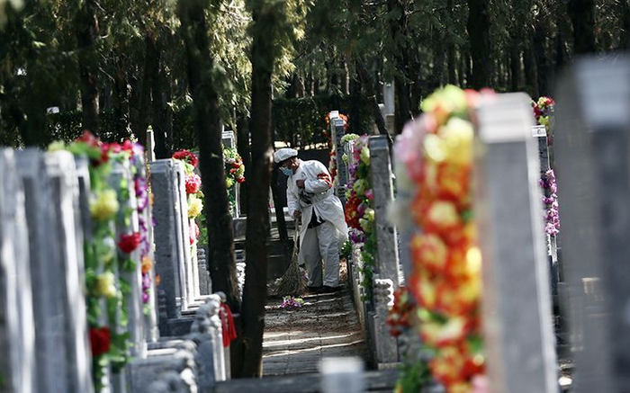 代为祭扫的工作人员正在清扫墓地。摄 新京报记者 郑新洽