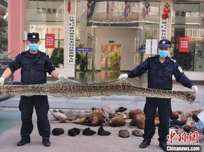 云南森警公开销毁野生动物死体及制品460.2公斤