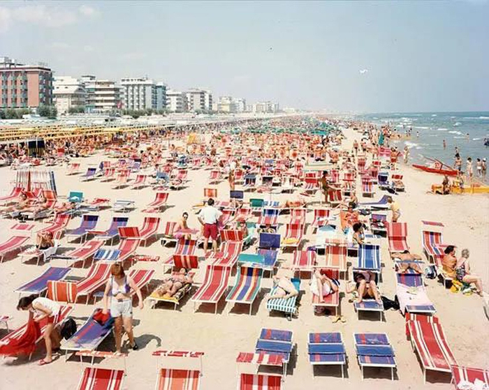 马西莫·维塔利：《自然栖息地》