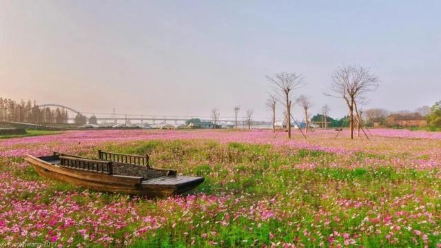 最新！佛山大批景区、文体场馆恢复开放！周末安排了