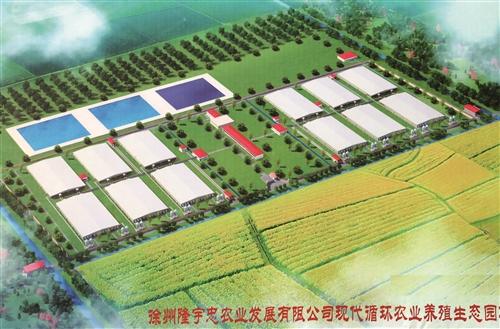 沛县鹿楼镇推进大型高效农业项目