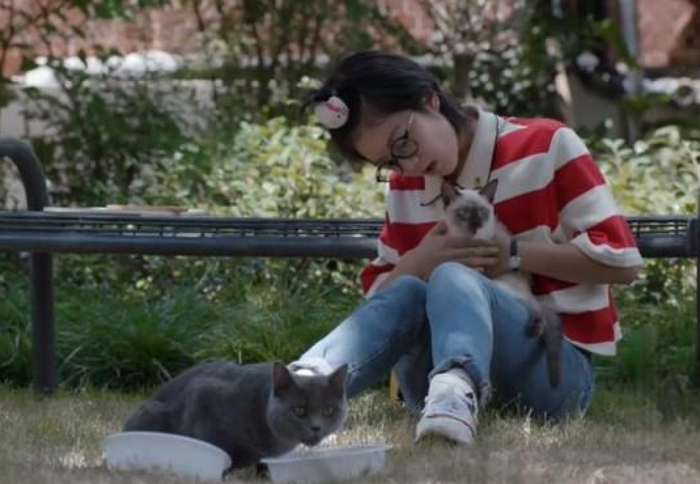 《少年派》里的流浪猫。图片来自网络