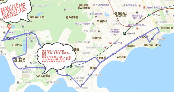 青岛人注意！这一大批景区景点即将陆续开放…