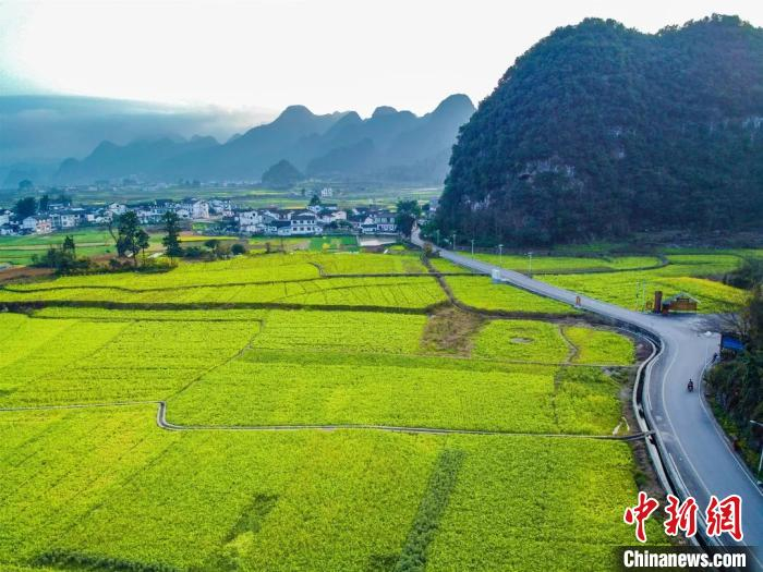     资料图：贵州黔西南州万峰林景区内油菜花开。黔西南州委宣传部供图
